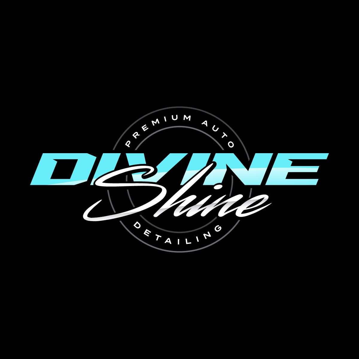 Divine Shine Auto Detailing logo