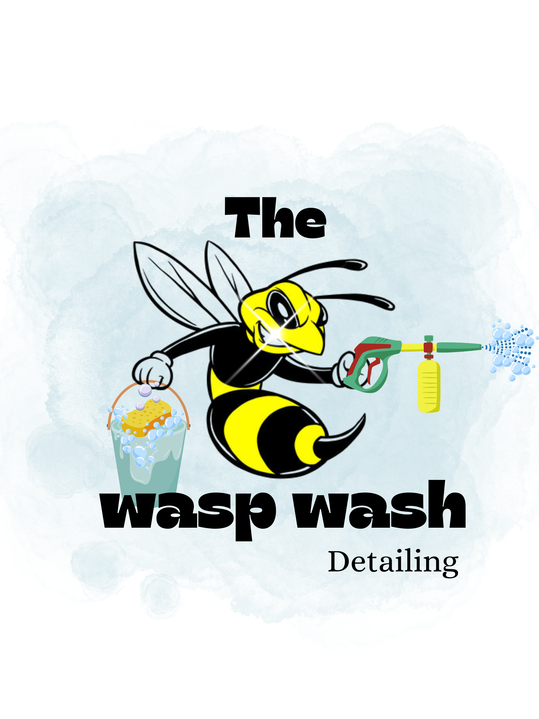 Waspwashdetailing logo