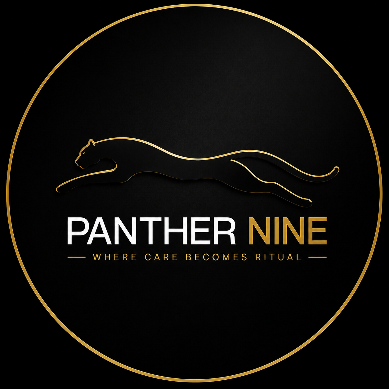 Panther Nine Mobile Detailing logo
