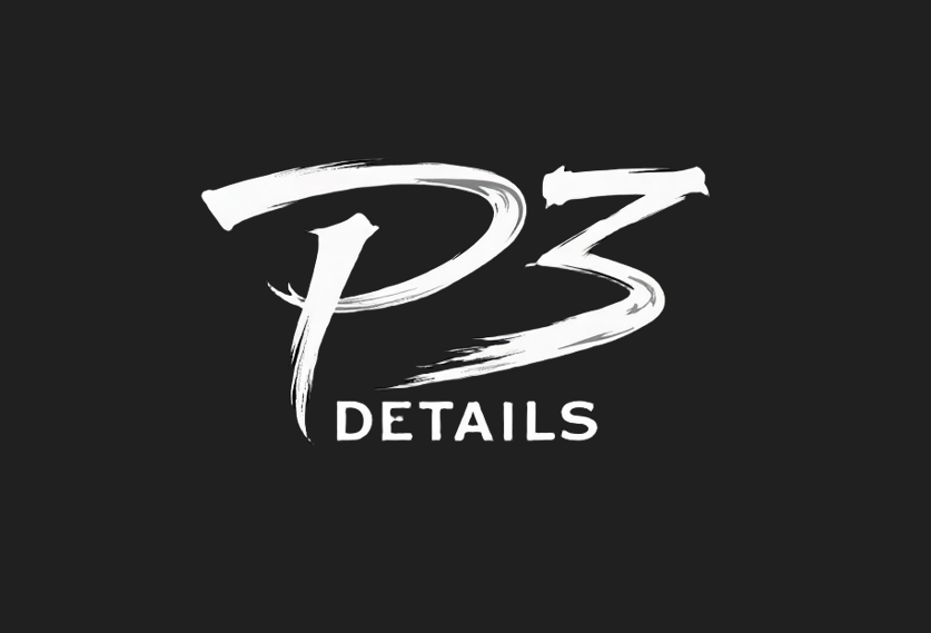 P3 Details logo
